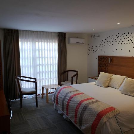 Hotel Origenes Vallenar Εξωτερικό φωτογραφία