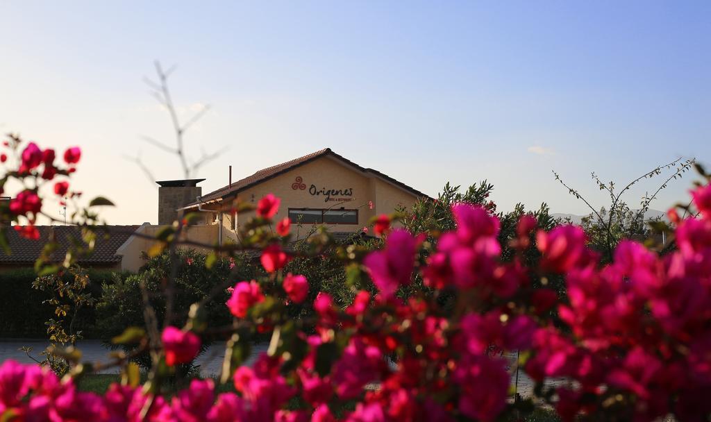Hotel Origenes Vallenar Εξωτερικό φωτογραφία